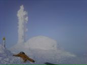 Дмитрий Звягин фотография #40 (источник - https://vk.com/id957409)