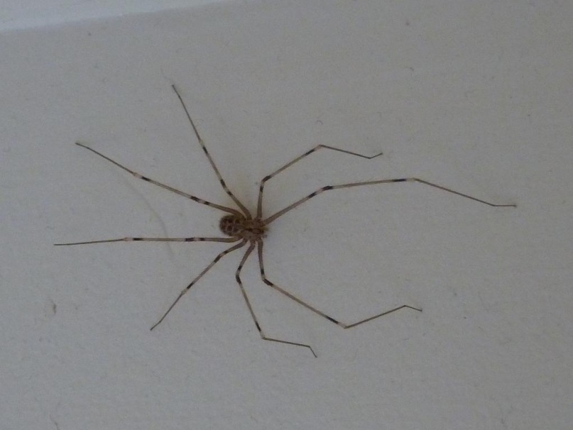 Елизавета Матвеенко фотография #26