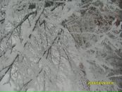 Фотография Зенович Марины