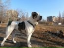 Максім Фіщук фотография #6 (источник - https://vk.com/id56011342)