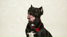 Фотография Тениловой Юлии