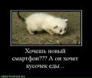 Володимира Володимирівна фотография #5 (источник - https://vk.com/id166247556)