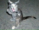 Фотография Калагаева Сергея