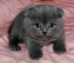 Фотография Арефьевой Юли