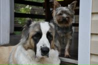 Виктор Андросов фотография #15 (источник - https://vk.com/id1914610)