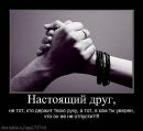 Інна Шевчук фотография #15 (источник - https://vk.com/id92127200)