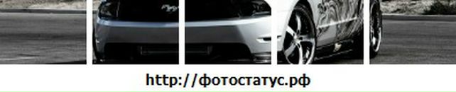 __________a-L-E-X Κондратьев фотография #40 (источник - https://vk.com/id91389372)