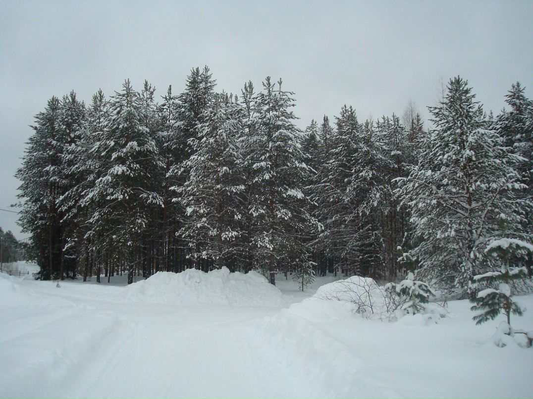 Никита Орлов фотография #6