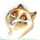 Фотография Шулеповой Александры