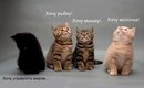 Катерина Романків фотография #1