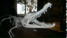 Oleg Melnik фотография #11 (источник - https://vk.com/id19100250)