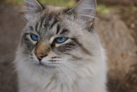 Фотография Дубовицкой Маши