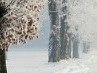 Міша Ковдра фотография #3 (источник - https://vk.com/id32460345)