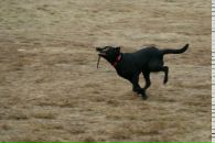 Вова Юрочкін фотография #29 (источник - https://vk.com/id15084244)