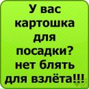 Віталік Драгущак фотография #42 (источник - https://vk.com/id138881853)