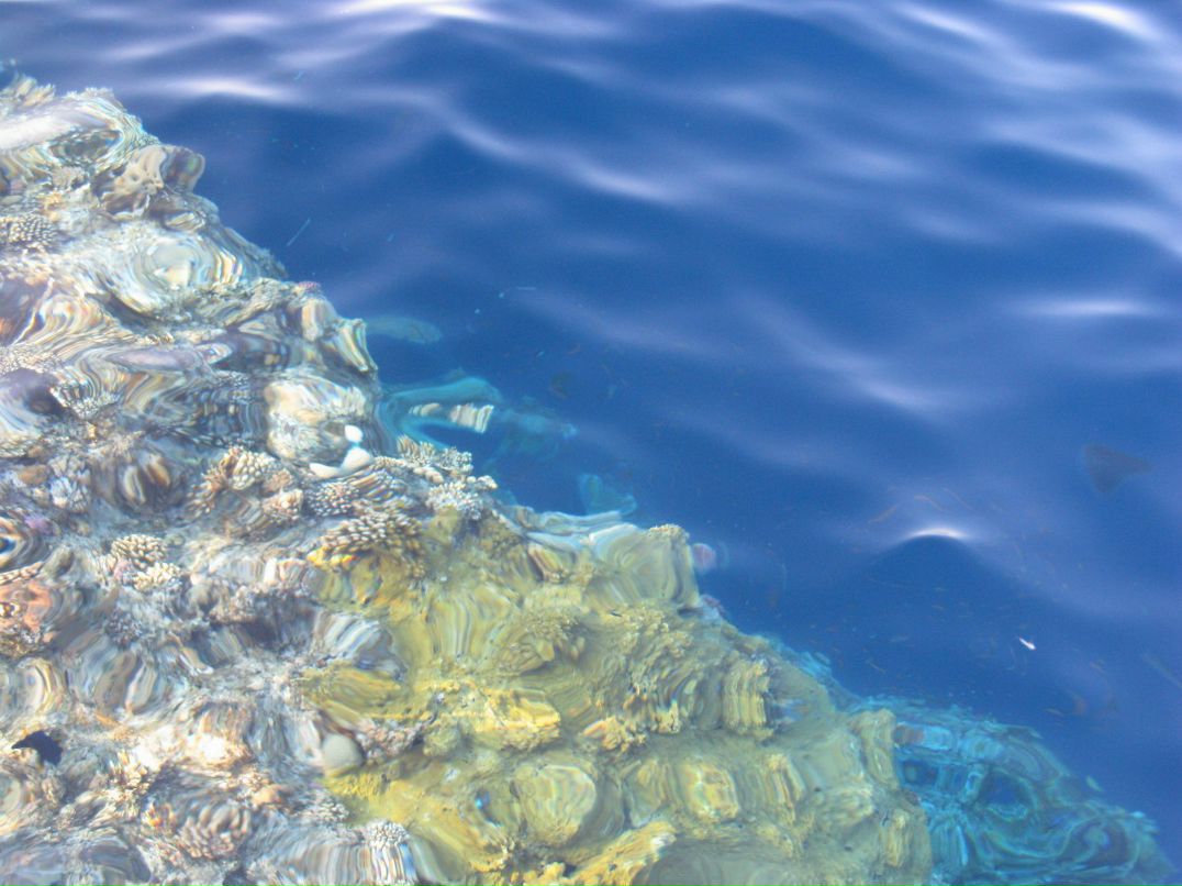 Наталья Софронова фотография #24