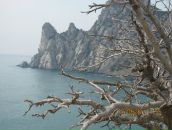 Фотография Бондарь Татьяны