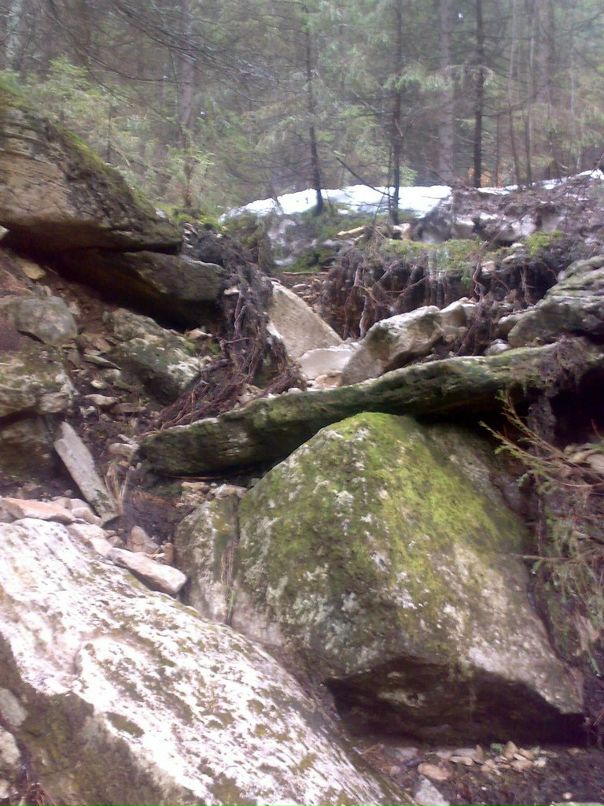 Егор Накоряков фотография #14