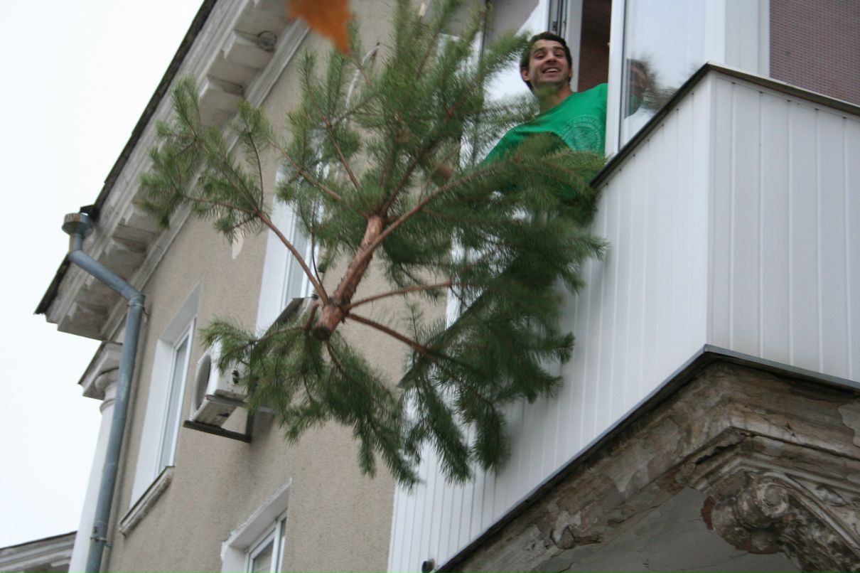 Дмитрий Сошкин фотография #17