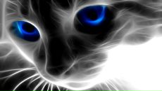 Фотография Беловой Оксаны