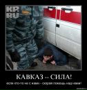 Паша Степанищенко фотография #9 (источник - https://vk.com/id39435050)