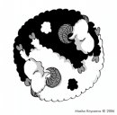 Овца Белая фотография #19 (источник - https://vk.com/id4406024)