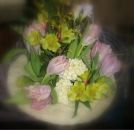 Фотография Постоловской Даши