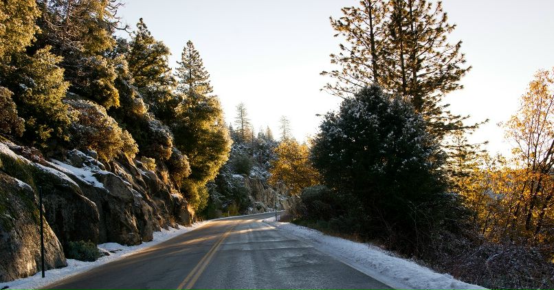 Игорь Свенцицкий фотография #38