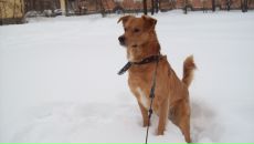 Фотография Станкевич Анны