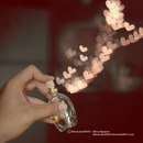Соломія Старенкова фотография #9 (источник - https://vk.com/id157916505)