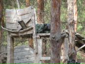 Фотография Докторова Андрея