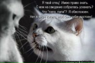 Фотография Мамонтовой Веры