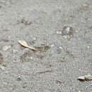 Іруся Костецька фотография #32 (источник - https://vk.com/id133052785)