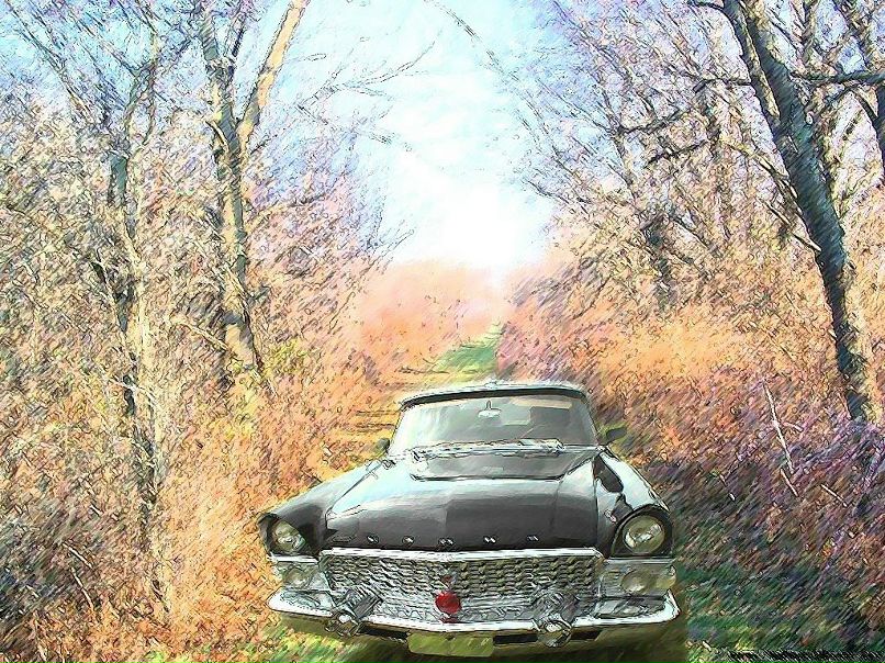 Владислав Крохалёв фотография #36