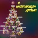 Фотография Яшиной Анны