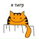 Фотография Малехоновой Натальи