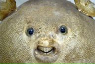 Фотография Савельева Ирина