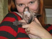 Фотография  