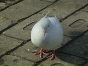 Віталік Пилипів фотография #30 (источник - https://vk.com/id40101277)