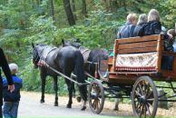 Софья Романенко фотография #45 (источник - https://vk.com/id10241677)