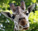 Фотография Денисенко Анны