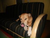 Фотография Саканян Лусине