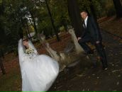 Рома Шмілик фотография #4 (источник - https://vk.com/id9821458)