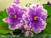 Фотография Резанковой Марии