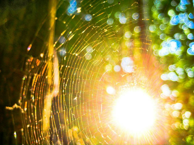 Николай Лычко фотография #49