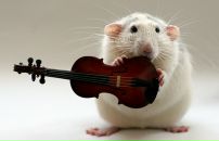 Фотография Шумковой Светланы