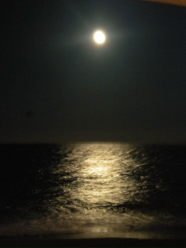 Эдем Панич фотография #22