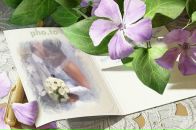 Оленка Перегінець фотография #46 (источник - https://vk.com/id109454933)