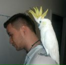 Никита Лебедев фотография #20 (источник - https://vk.com/id324011)