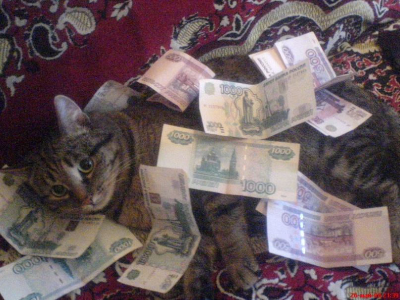 Дмитрий Бакин фотография #15